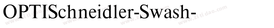 OPTISchneidler-Swash字体转换