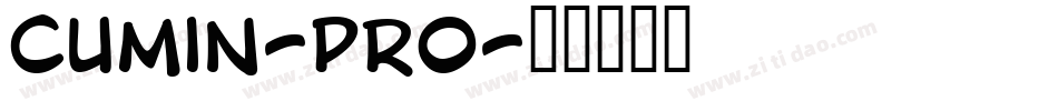 cumin-Pro字体转换