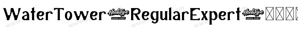 WaterTower-RegularExpert字体转换