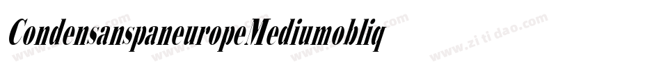 CondensanspaneuropeMediumoblique-vRzy字体转换
