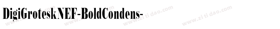 DigiGroteskNEF-BoldCondens字体转换