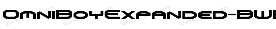 OmniBoyExpanded-BWB7l字体转换
