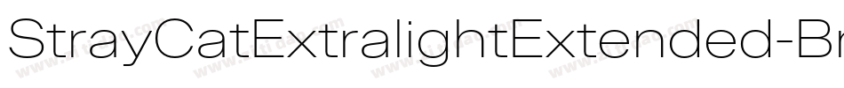 StrayCatExtralightExtended-BreV字体转换