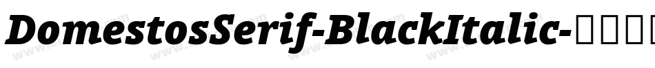 DomestosSerif-BlackItalic字体转换