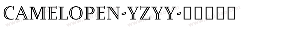 CamelOpen-Yzyy字体转换
