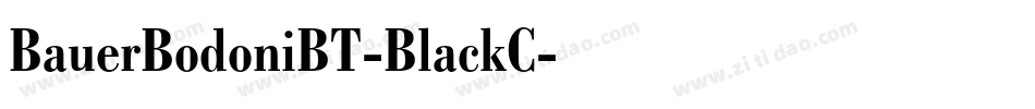 BauerBodoniBT-BlackC字体转换