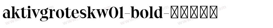 aktivgroteskw01-bold字体转换