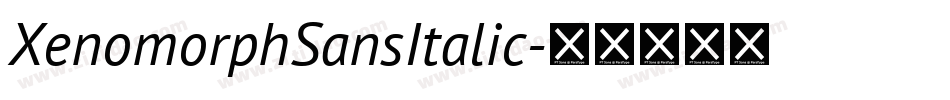 XenomorphSansItalic字体转换