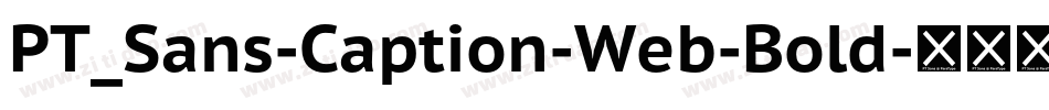 PT_Sans-Caption-Web-Bold字体转换