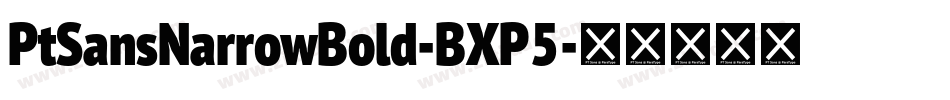 PtSansNarrowBold-BXP5字体转换