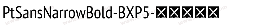 PtSansNarrowBold-BXP5字体转换