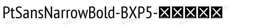 PtSansNarrowBold-BXP5字体转换