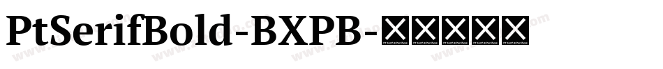PtSerifBold-BXPB字体转换