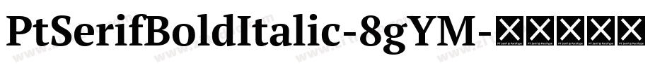 PtSerifBoldItalic-8gYM字体转换