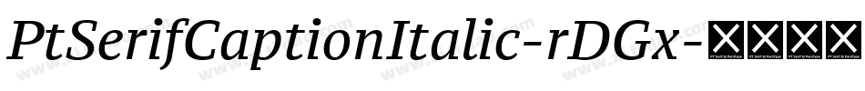 PtSerifCaptionItalic-rDGx字体转换