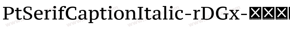 PtSerifCaptionItalic-rDGx字体转换