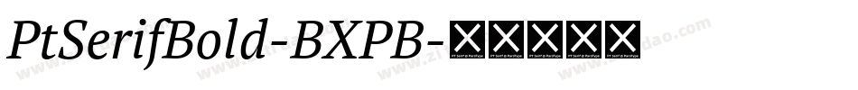 PtSerifBold-BXPB字体转换