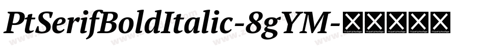 PtSerifBoldItalic-8gYM字体转换