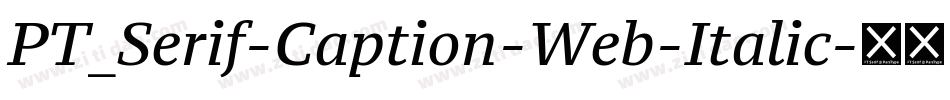 PT_Serif-Caption-Web-Italic字体转换