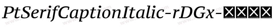 PtSerifCaptionItalic-rDGx字体转换
