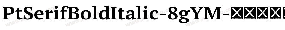 PtSerifBoldItalic-8gYM字体转换