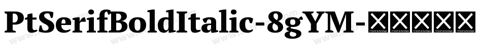PtSerifBoldItalic-8gYM字体转换