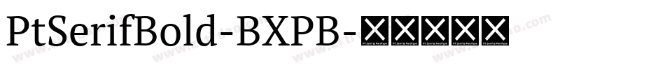PtSerifBold-BXPB字体转换