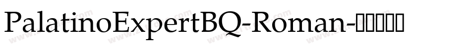 PalatinoExpertBQ-Roman字体转换