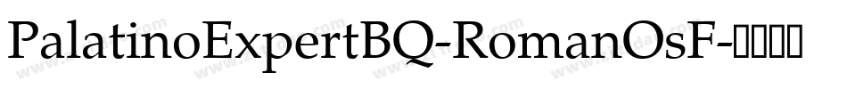 PalatinoExpertBQ-RomanOsF字体转换