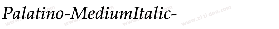 Palatino-MediumItalic字体转换