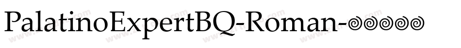 PalatinoExpertBQ-Roman字体转换