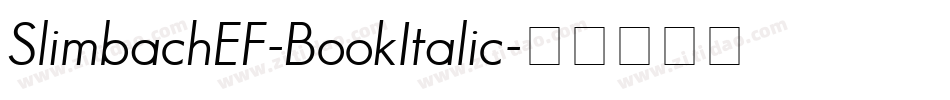 SlimbachEF-BookItalic字体转换