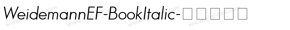 WeidemannEF-BookItalic字体转换
