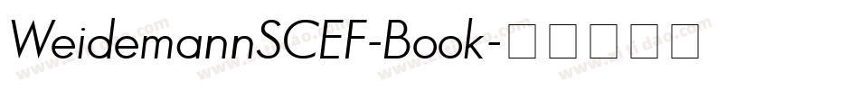 WeidemannSCEF-Book字体转换