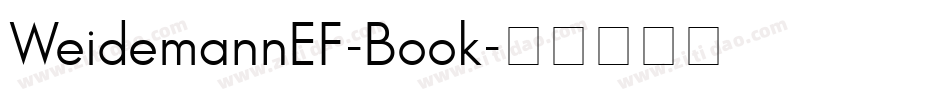 WeidemannEF-Book字体转换