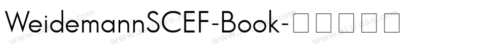 WeidemannSCEF-Book字体转换