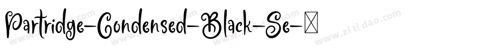Partridge-Condensed-Black-Se字体转换