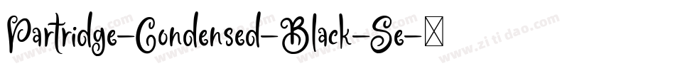 Partridge-Condensed-Black-Se字体转换