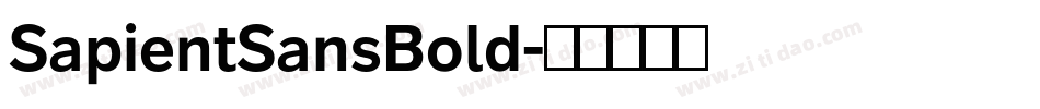 SapientSansBold字体转换
