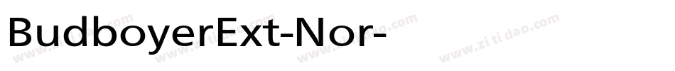 BudboyerExt-Nor字体转换