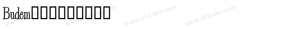 Budem___字体转换