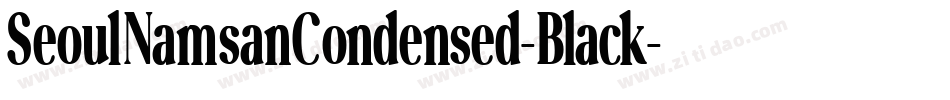 SeoulNamsanCondensed-Black字体转换