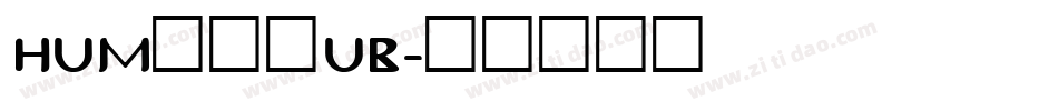 HUM521UB字体转换