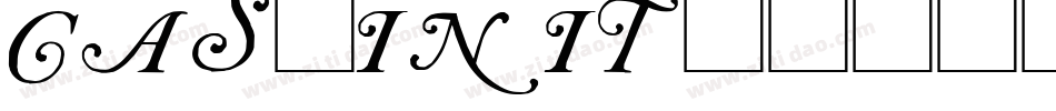 CAS_INIT字体转换