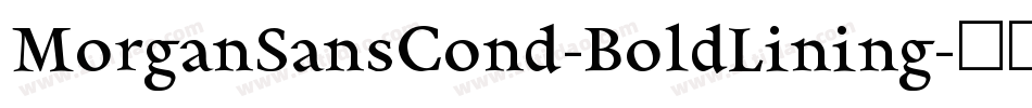MorganSansCond-BoldLining字体转换