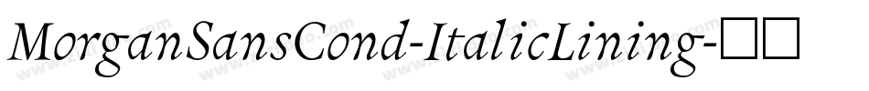 MorganSansCond-ItalicLining字体转换