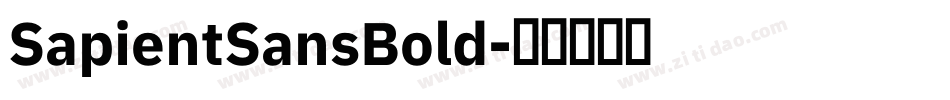 SapientSansBold字体转换