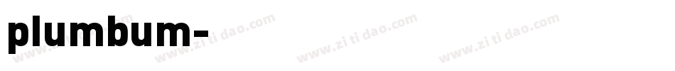 plumbum字体转换