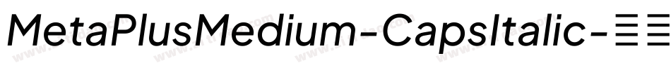 MetaPlusMedium-CapsItalic字体转换