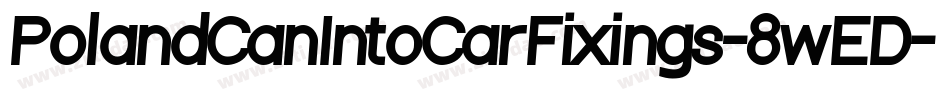 PolandCanIntoCarFixings-8wED字体转换